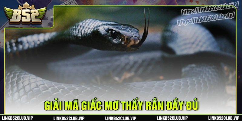Giải mã những điềm báo bí ẩn trong giấc mơ thấy rắn