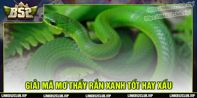Ngủ mơ thấy rắn xanh